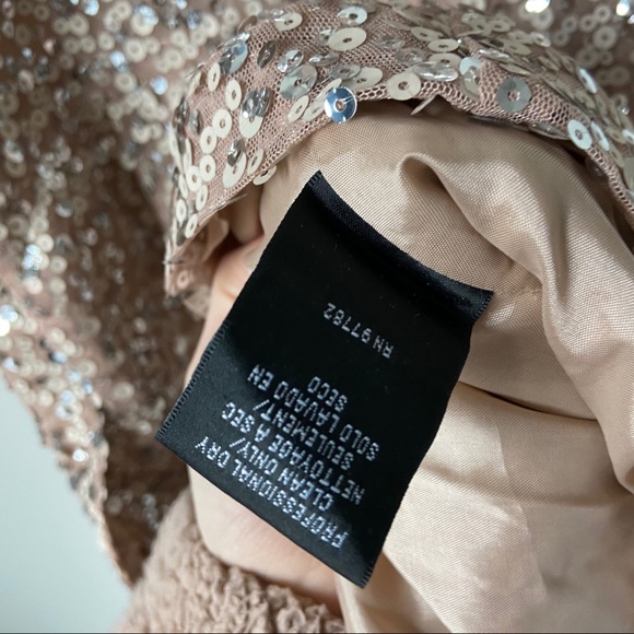 Jill Jill Stuart Champagne Sequin Dress - Picture 8 of 9